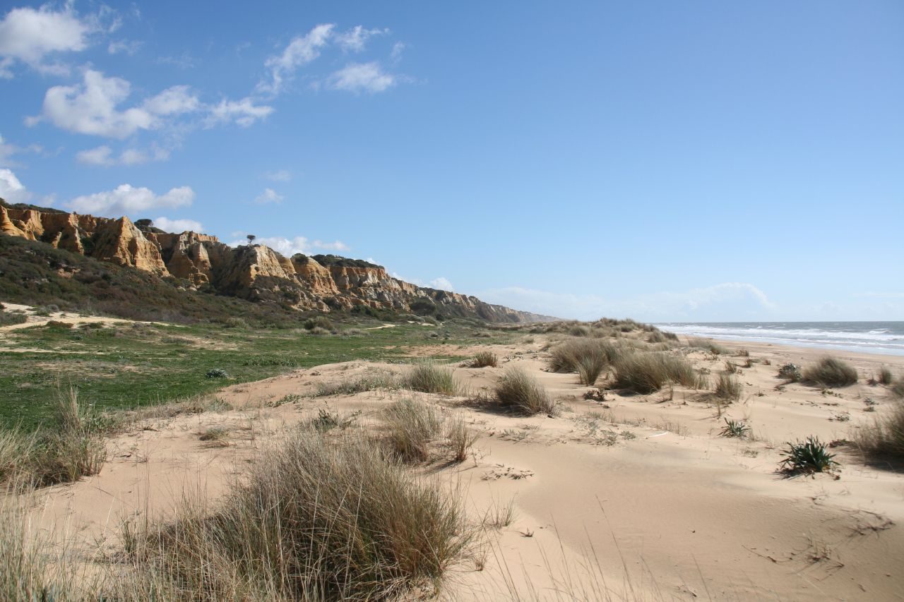 Playas de Huelva